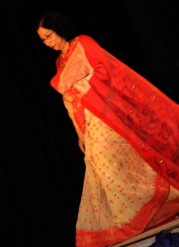 2010SareeShow-WeavingDreams (70)