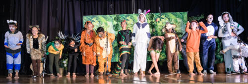 JungleBook DSC-0679