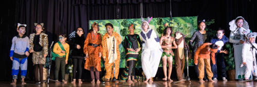 JungleBook DSC-0683