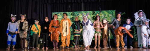 JungleBook DSC-0684